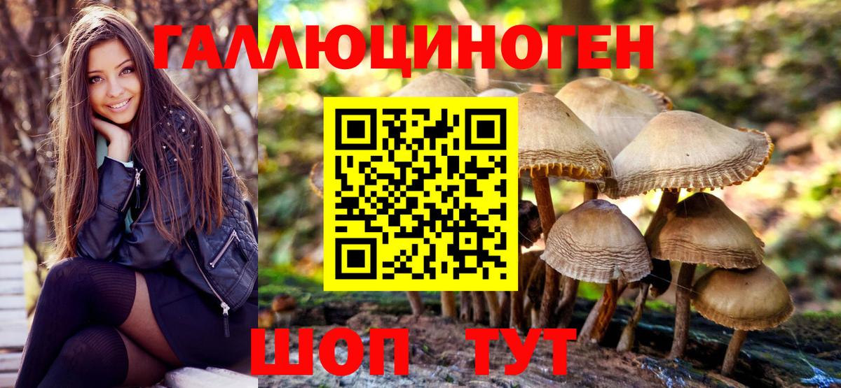 Галлюциногенные грибы MAGIC MUSHROOMS Северобайкальск