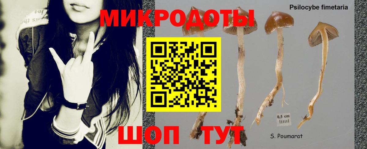 Северобайкальск  Галлюциногенные грибы Psilocybine cubensis  Вход с VPN 